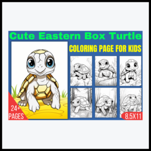 Cute Eastern Box Turtle Coloring Page