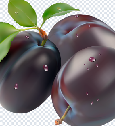 plum_png