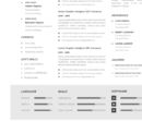 Professional CV Resume Vol.19
