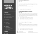 Professional CV Resume Vol.3