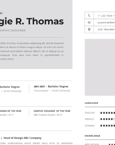 Professional CV Resume Vol.42