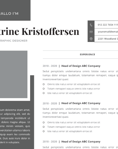 Professional CV Resume Vol.43