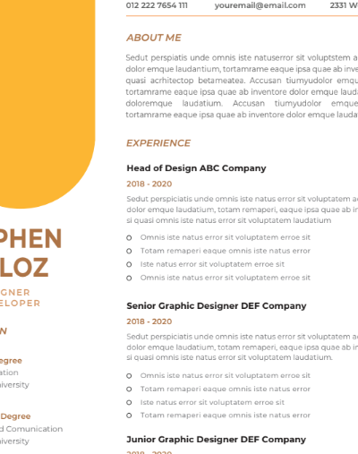 Professional CV Resume Template Vol.12