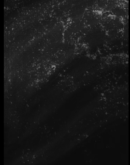 Kold Halftone Grunge.mp4