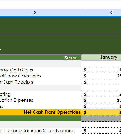 Budget Cash Flow Template.xlsx
