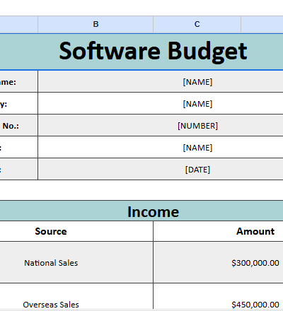 Free Basic Software Budget Template.xlsx