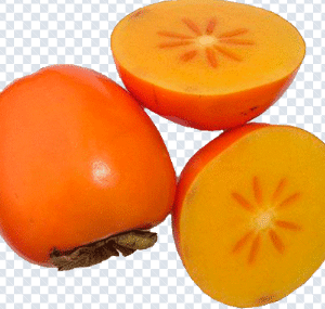 persimmon_png