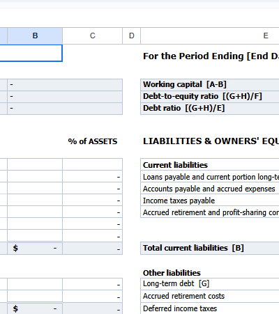 Balance sheet with financial ratios1.xls