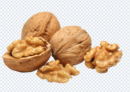 walnut_png