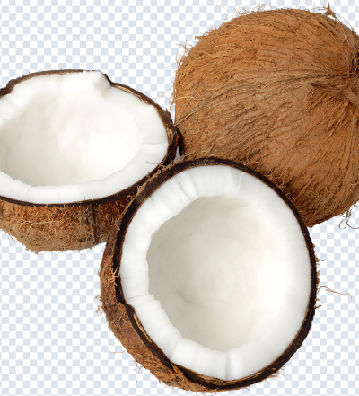 coconut_png