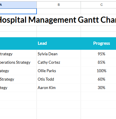 Hospital Management Gantt Chart (2).xlsx