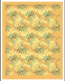Patterns