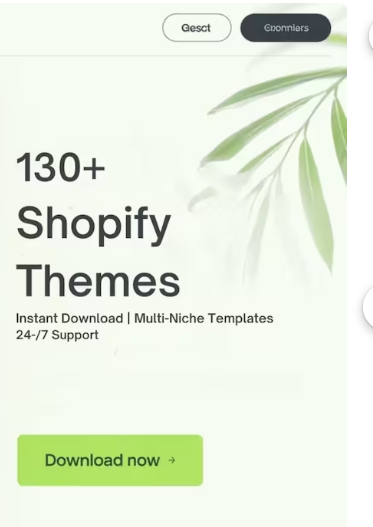 Shopify Theme