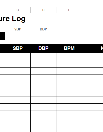 BLOOD PRESSURE LOG LARGE.xlsx