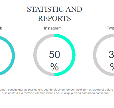 Statistic and Reports.pptx